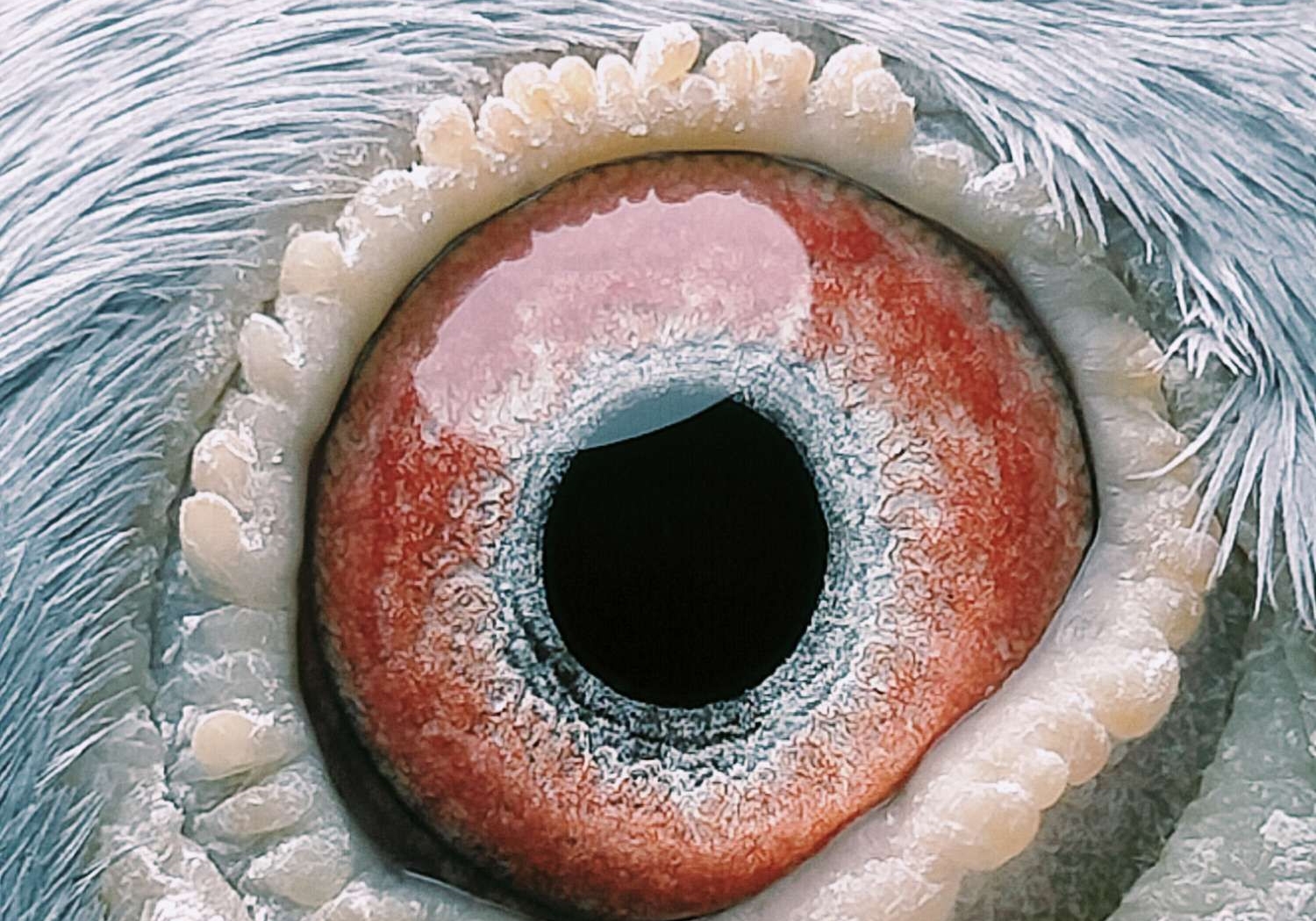 ��������Ʒ�ʣ�����ֻռ5%��