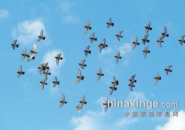 ��Ҫ���ｻ�벻�ȿ� ��Щ���ε�����