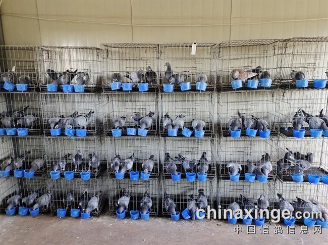 �����������ﵱǰ�ո���������