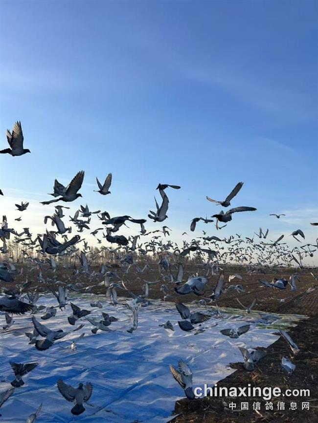 �¾�����һ��������£������������������ʤ���չ٣�