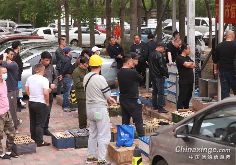 �������ո���ٽ����շ���������