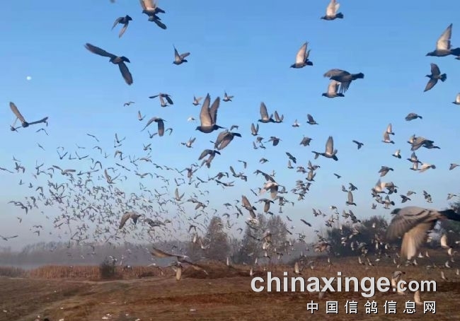 “走势良好”不能随口就说