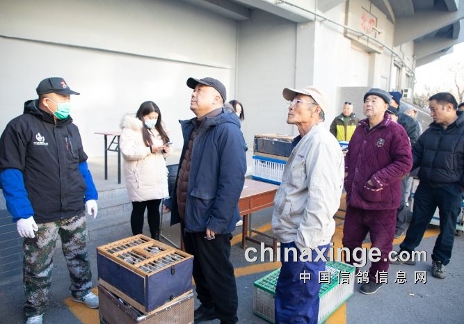 集结出发 重庆市鸽协备战兰州国家赛