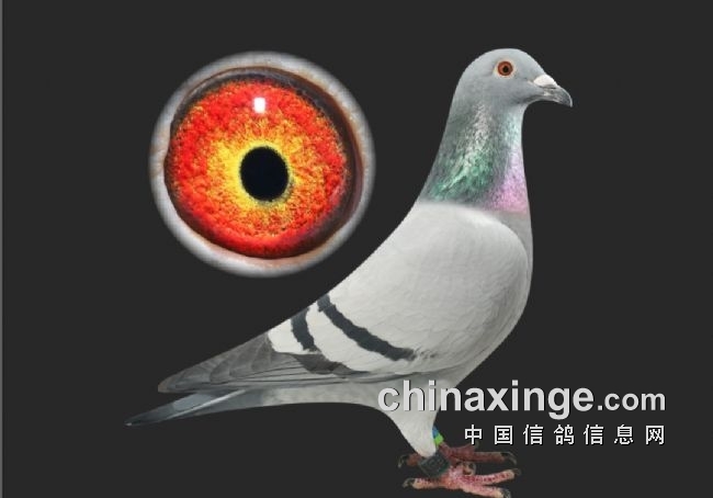 14岁千万国王：父亲和女儿竟然同岁！（三）