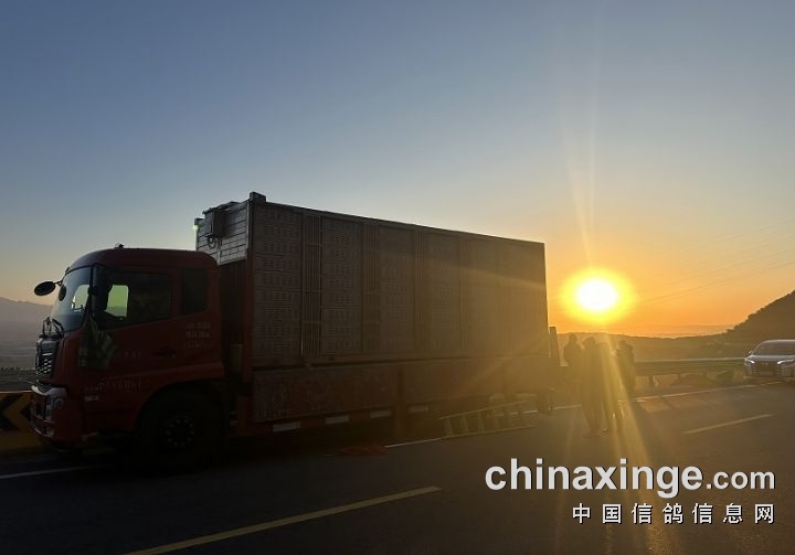 首场超远程来了 江苏一俱乐部司放张掖