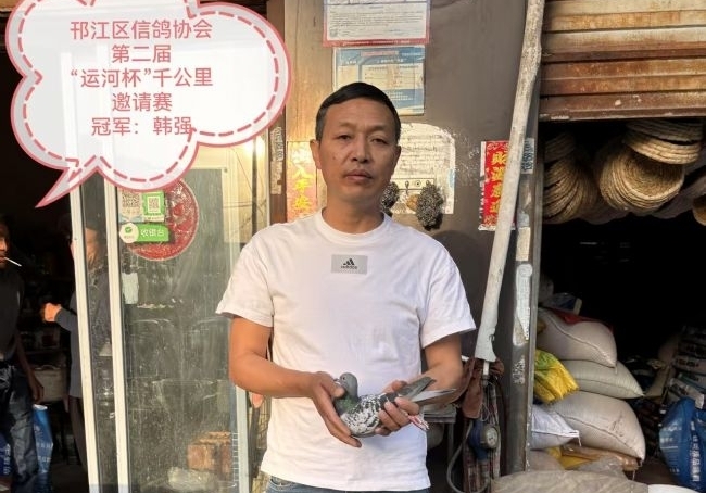 前六羽分速破千 邗江千公里获奖鸽风采