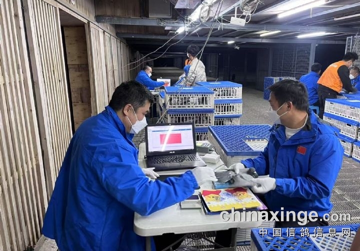 为多收参赛费 贵州一春棚宣布改名