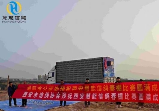 35℃高温加侧顶风：西安慧能春棚加站赛英雄鸽凯旋！