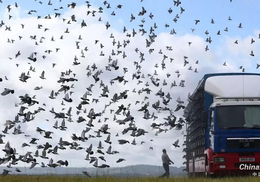 ��17��ɽ��ʡǧ����������