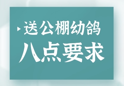 �͹����׸�İ˵�Ҫ��