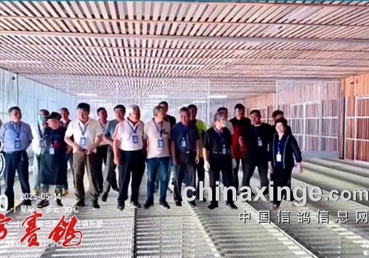 上海三海湾春棚决赛 浙江鸽友包揽冠亚季军