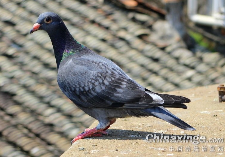 ������������С�ǣ����Ӹ����ҹ�����