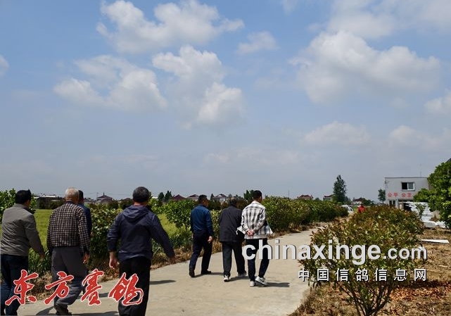 ���հ�������ʮ�����ո볬����