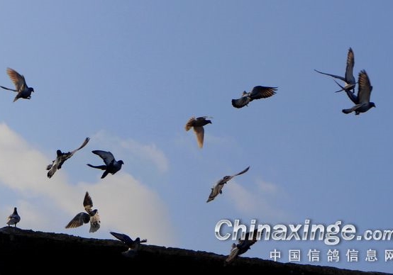 家飞前超重 家飞后干瘦 怎么调理