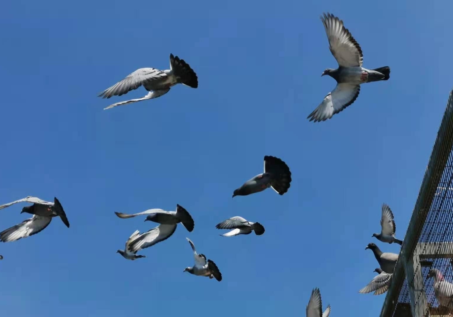 �ø뾡����Ҫ���������