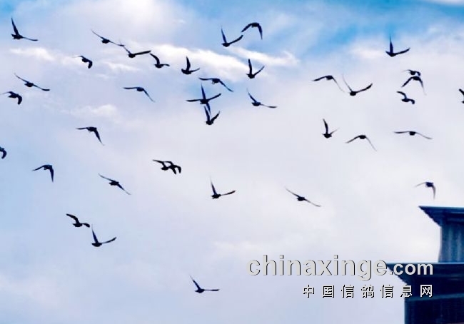 路训决定比赛成败 这几点必须重视