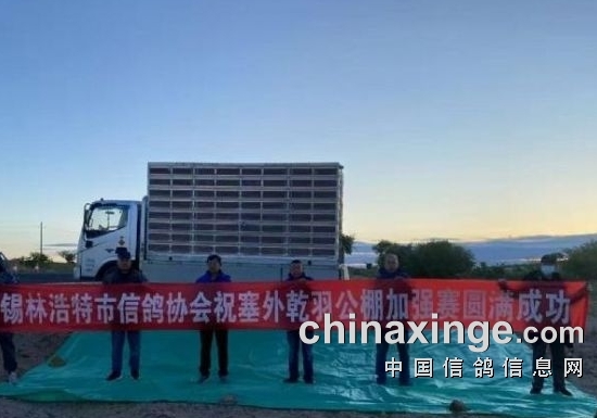 晴天开笼归巢难？公棚加战赛不足一成归