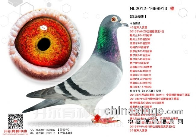 开尔利蒙治首站 盖比闪电显锋芒