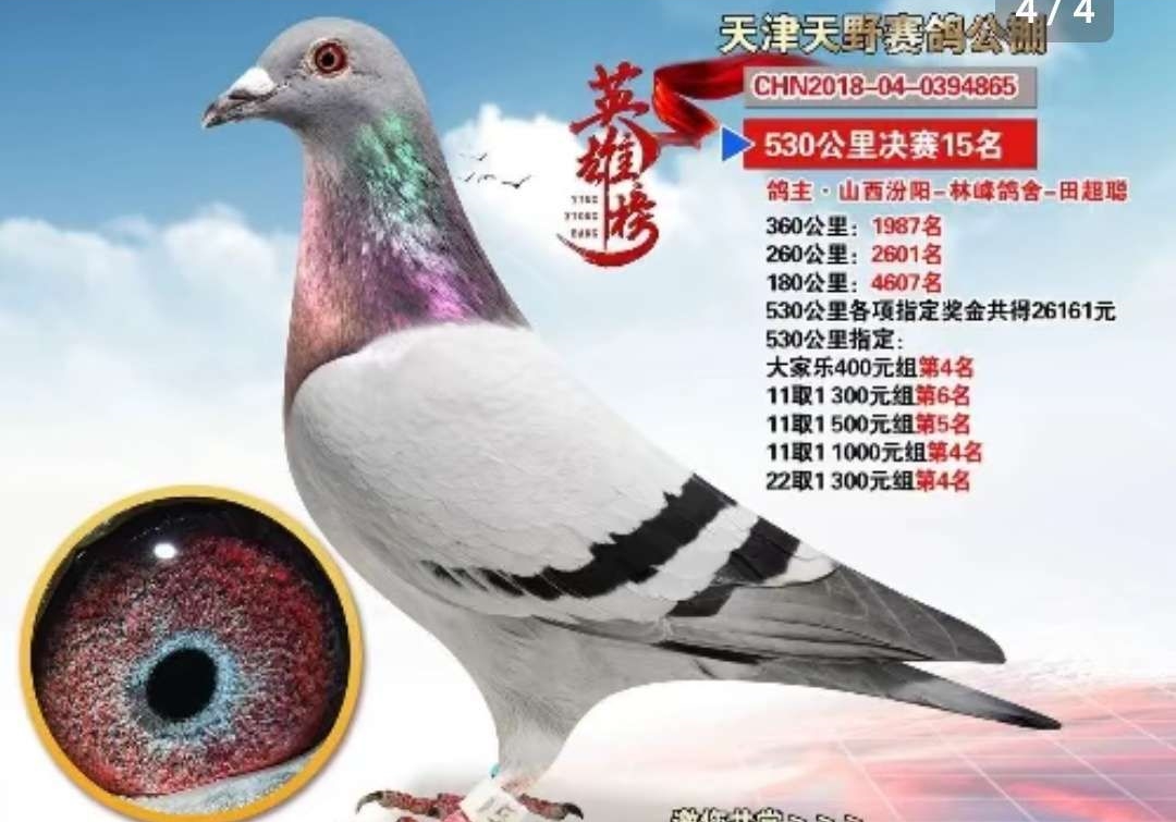 说一说近亲回血的利与弊