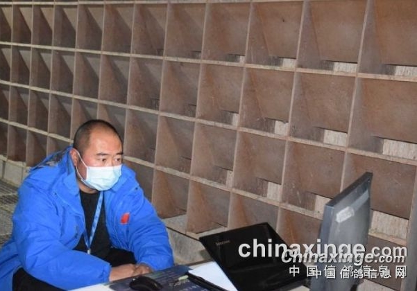 收鸽羽数不足 十一届老棚宣布停赛