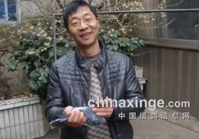 吴江杨晓东 从少年到中年的赛场传奇