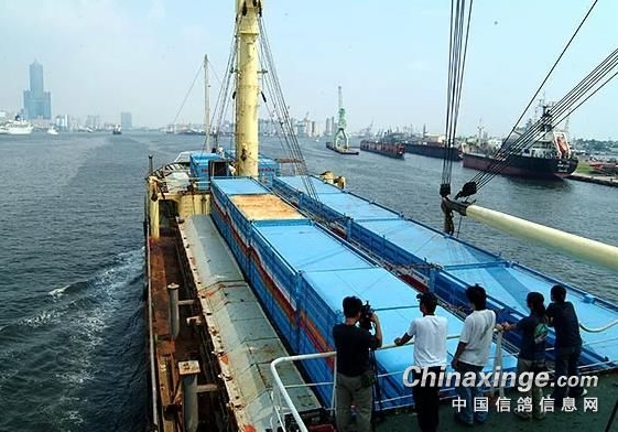 最高分速一千六 2.6万羽台鸽勇战大风