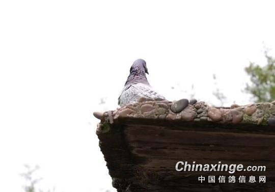 ������������� �ٹ����ּ�ֵ������