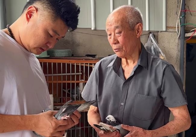 超远程坚守者 老将与他的赛场传奇