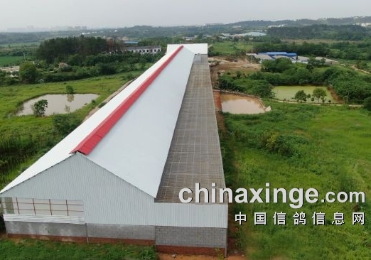 �人���鹫���ѧ���� �������� 