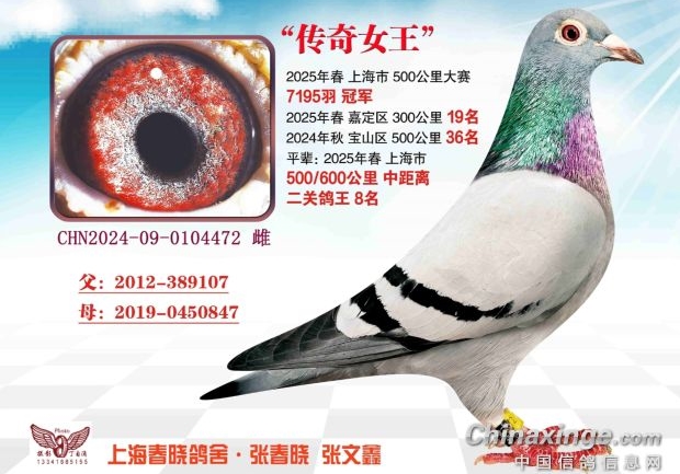 �ۺ�ʵ��ǿ �����Ϻ���ᴺ���ھ�����