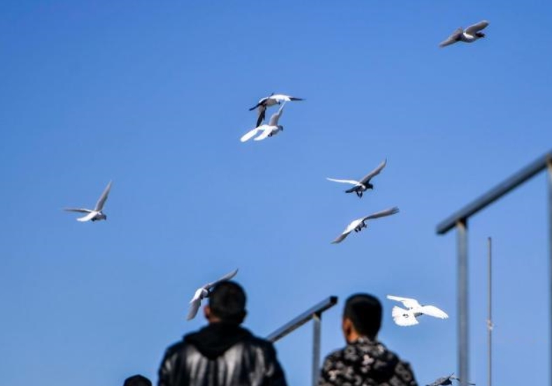 ���������ɵ�ӹ���