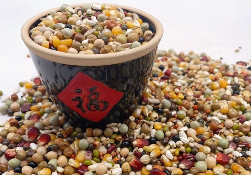 新手必看！鸽粮喂食的基础学问