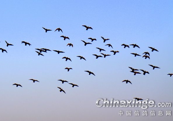 ꡶Ϲ˵롷2000ҴԶ