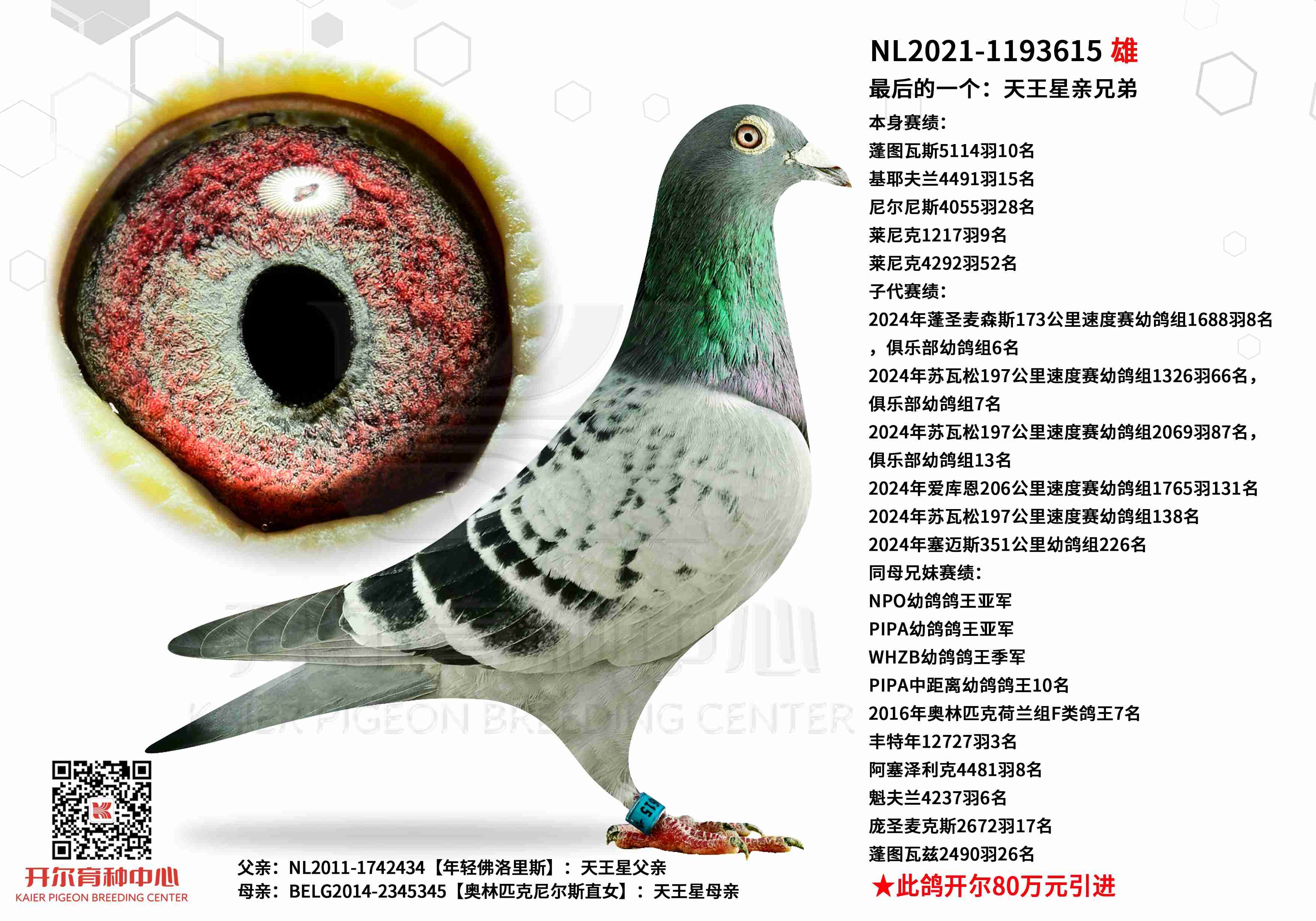 前百占七羽 威廉迪布恩&盖比闪耀苏瓦松