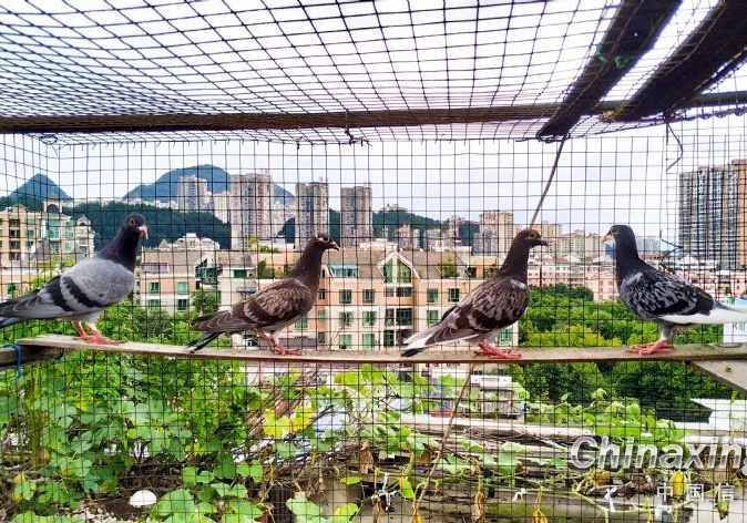 小户想要赢？记住这三个取胜之道