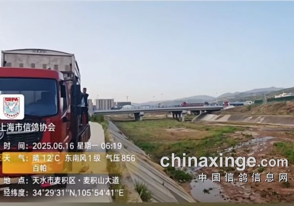 上海长距离鸽王榜单大洗牌！稳坐冠军宝座的依然是他