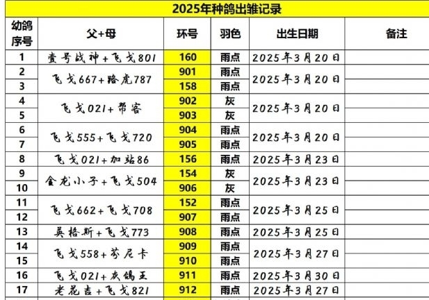 2025年种鸽育赛、制种工作结束了！