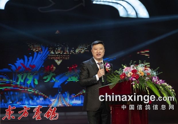 信鸽比赛将要结束浑水摸鱼的时代