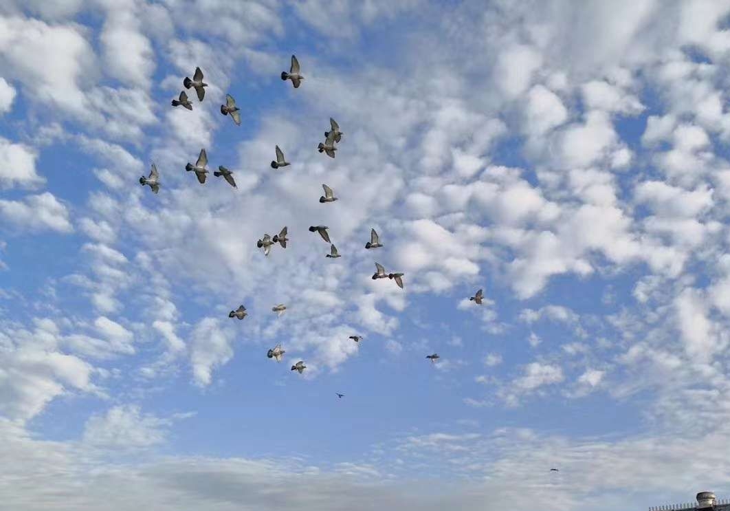 ����Ҳ������ ��߷���һǧ��