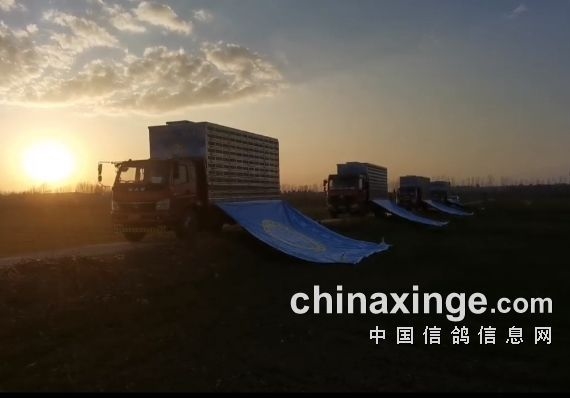 场场有高位！上海四场春赛谁是“头号赢家”？