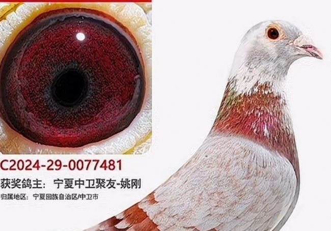 ���ǲ��������� ��筶���Ѿ�����λ