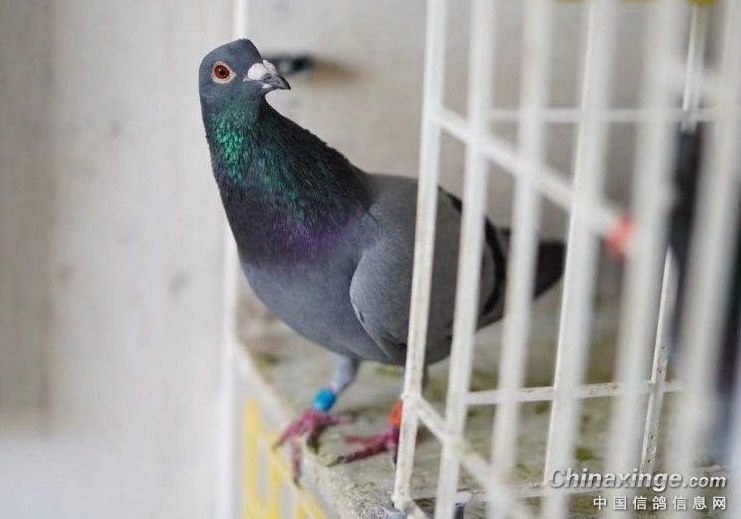 �Ĵ����Ҫ�� �����ָ밲ȫ����