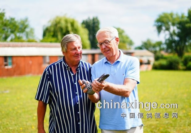 派翠克.帝鲁：冠军鸽改名是为了纪念外祖父