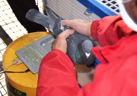 ɽ�������ر��ܼ죺98��13262��