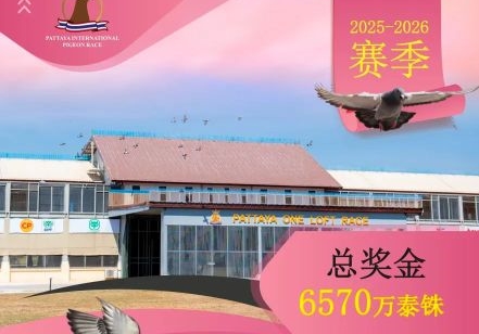 �³��ѳ� �������ո�1.2����