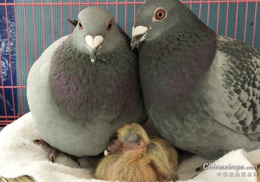 ̽Ѱ�й��Ÿ���������