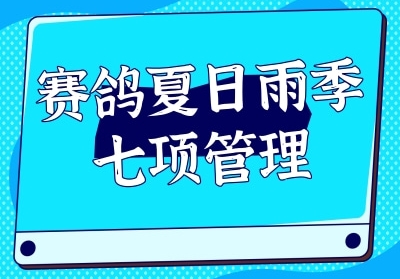 �����������꼾���������