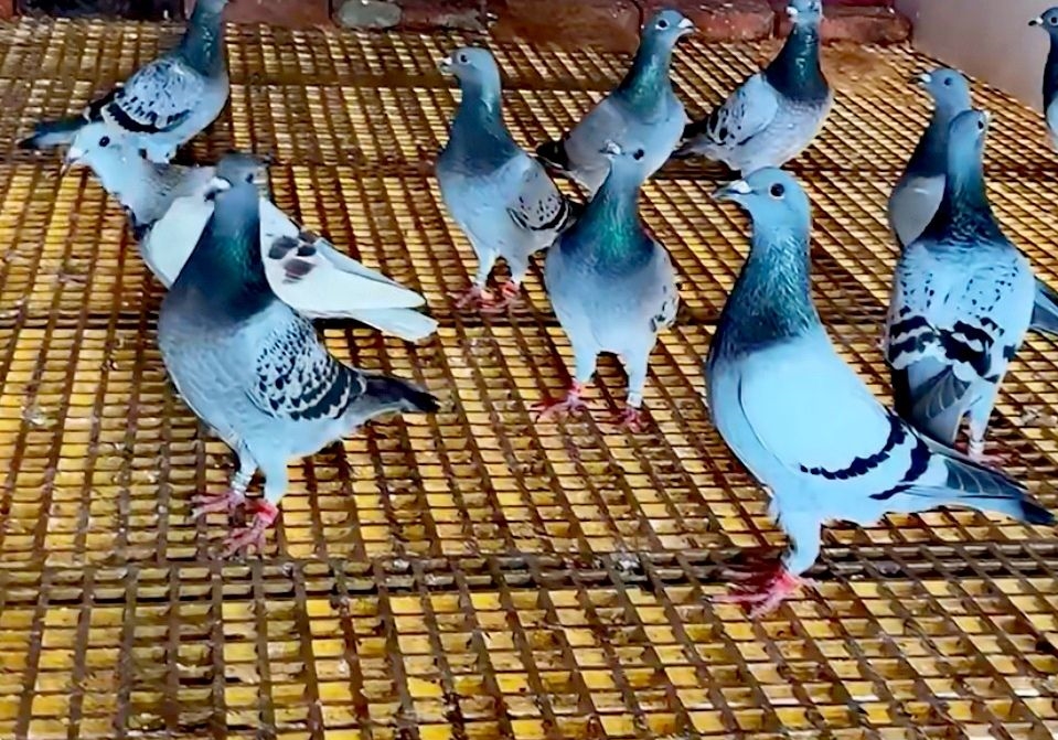 ��������������Ҳ���������������