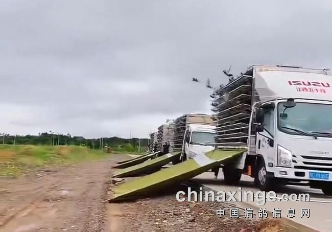 �����쿪�� �㶫һ���ֲ��ʸ������ĳɹ�