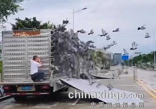 �㶫������������ ��������һ�˰���ǰ��